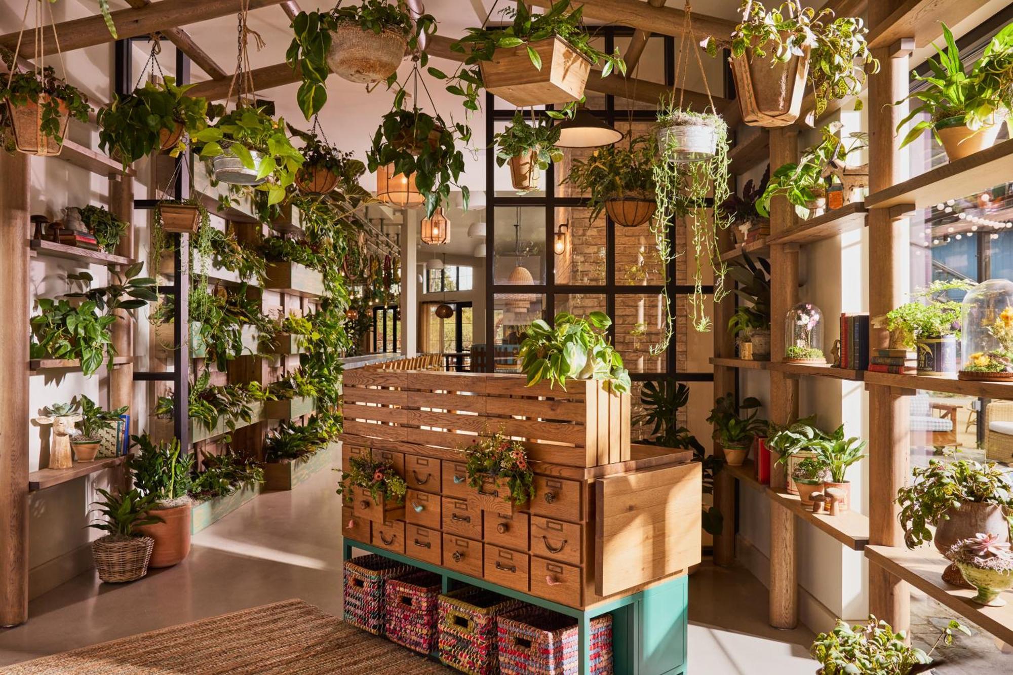 Treehouse Hotel Silicon Valley Sunnyvale Exterior foto